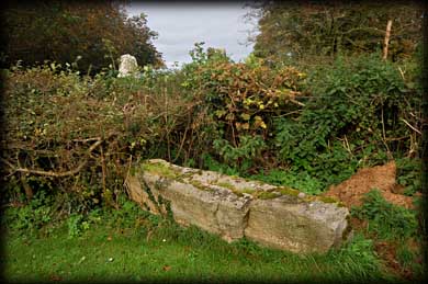 Fallen Stone